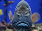 You Talkin to Me