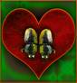 Stag Beetles in Love