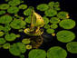 Sailing