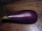 Ageing Eggplant (Gif)