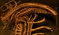 Musical Alien, 9 votes