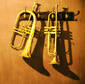 Golden Trumpets