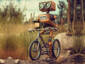 Bike Ride