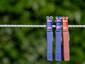 Three Clothespins