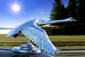 Hood Ornament