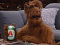 Alf Beer
