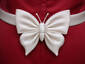 Satin Butterfly Bow