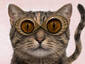 Meow