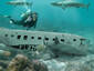 Safe diving area?