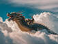 Dragon Tamers