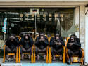 Three Monkeys +2