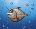 Unifish
