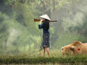 No more poaching?