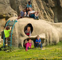 In the Playground