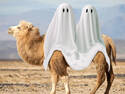 Soon Halloween