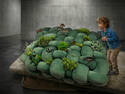 Bio-cushion experiment