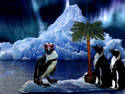 Penguin Staycation