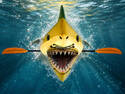 Rare Yellow OarShark