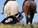 The Lone Ranger