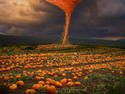 Pumpkin Tornado