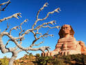 The Land of the Mummies