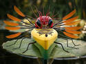 Canoofly