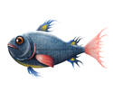 Denim Fish