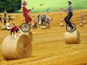 Outdoor circus