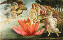 Birth of Venus