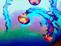 Lantern Jelly Fish