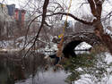 Rope Swing