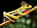 Prince charming