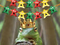 Happy Frogday