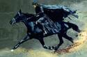 The Fifth Horseman