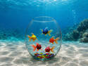 Sweet fish