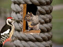 You Knocked?