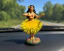On My Dashboard