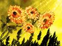 Magical Sunflowers