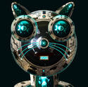 Kittybot