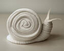 Slow Snail