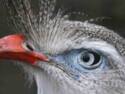 Got my eye on you