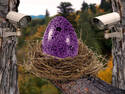 What will hatch???