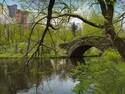 Springtime
