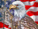 American War Eagle