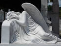 Sleeping angel