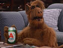 Alf Beer
