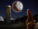 the Chicken Moon Cycle