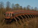 Centepede Metro Train