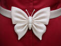 Satin Butterfly Bow