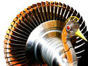 Turbine turkey